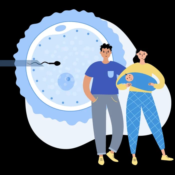 Embryo Transfer