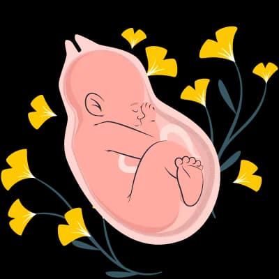 Gynecology