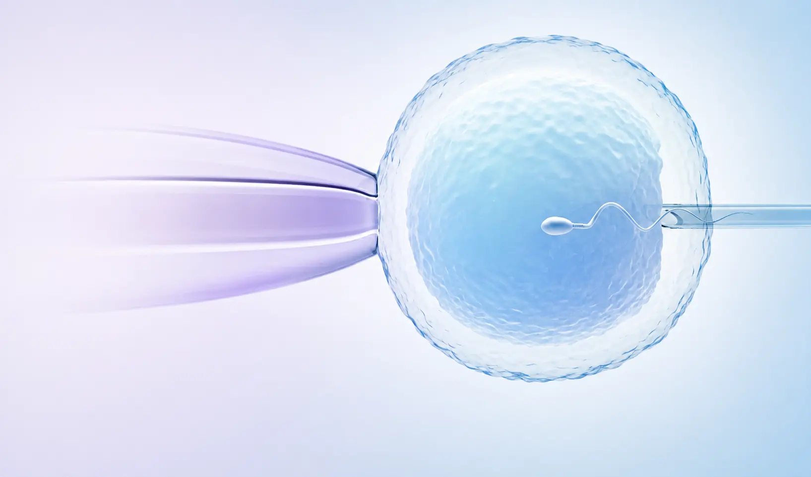 ICSI Banner