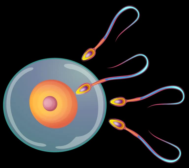 TESA IVF