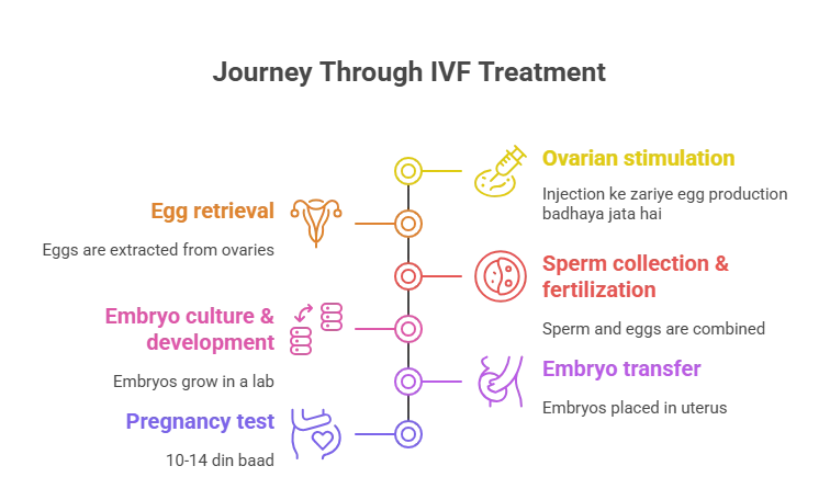 Journey Through IVF Treatment
